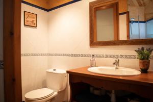 a bathroom with a toilet and a sink and a mirror at Apartament Cadí- Moixeró in Bagá