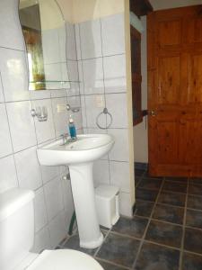 ein Badezimmer mit einem Waschbecken, einem WC und einem Spiegel in der Unterkunft Heliconia Island in Sarapiquí