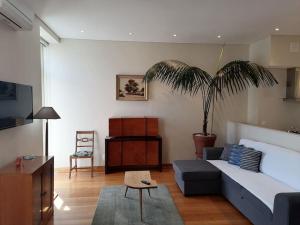 ein Wohnzimmer mit einem Sofa und einer Palme in der Unterkunft Garrett Houses in Póvoa de Varzim