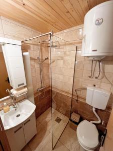 a bathroom with a shower and a toilet and a sink at Star Apartments in Bajina Bašta +6 photos