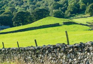 a stone wall in front of a green field at The Old Chapel in Windermere