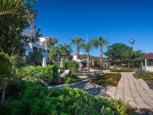 a garden in front of a house with palm trees at Apartment in the middle of nature in Santa Cruz de Tenerife in San Miguel de Abona