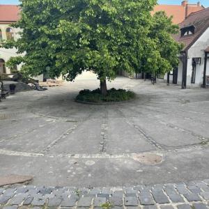 Okolie apartmánu
