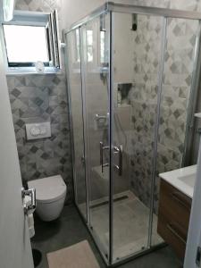 a bathroom with a shower with a toilet and a sink at Apartments with a parking space Njivice, Krk - 5320 in Njivice