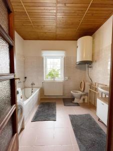 een badkamer met een bad, een toilet en een wastafel bij Krásný apartmán v bráně Lužických hor in Cvikov