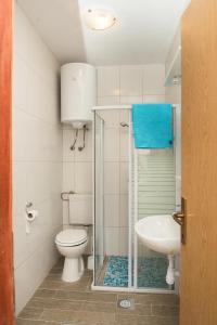 een badkamer met een douche, een toilet en een wastafel bij Family friendly house with a swimming pool Cista Velika, Vodice - 20234 in Velika Čista