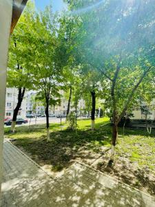 un gruppo di alberi in un parco con marciapiede di 3S Residence a Vaslui