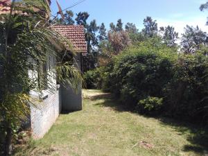 a house with a door in the side of a yard at Bed and breaksfast in Punta del Este