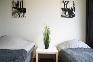 a bedroom with two beds and a potted plant on a table at 4-room apartment. Oulu city center in Oulu