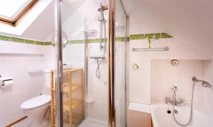 uma casa de banho com um chuveiro, um WC e um lavatório. em Lingmoor View em Ambleside