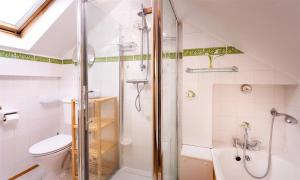 a bathroom with a shower and a toilet and a sink at Lingmoor View in Ambleside