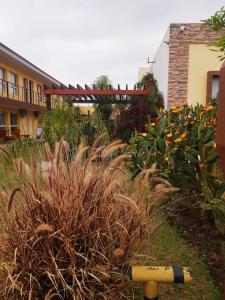 un jardín con hierba alta y flores junto a un edificio en Raíces Federaenses Monoambientes en Federación