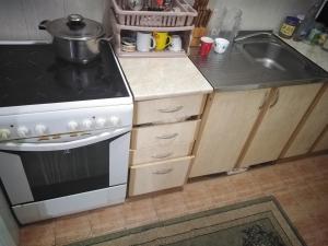 una cucina con fornelli e lavello di Kraljevski apartman 2 a Kraljevo