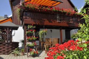 uma varanda com flores vermelhas numa casa em Zum Landidyll em Lugau