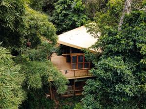 un edificio en medio de un bosque con árboles en SelvaMinca, en Minca