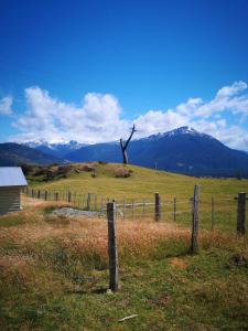 a tree on top of a field with a fence at Cabañas Kela in Bahía Murta