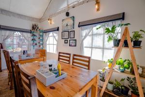 Fotografie z fotogalerie ubytování Moksham Himalayan Campsite Pangot v destinaci Nainital + 36 fotografií