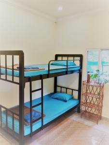 Cette chambre dispose de lits superposés et de 2 lits superposés. dans l'établissement The Cocoon, à Phumĭ Chroŭy Svay