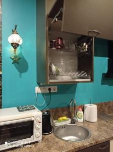 - un comptoir de cuisine avec évier et four micro-ondes dans l'établissement Riga, Jelgavas street 48., à Riga