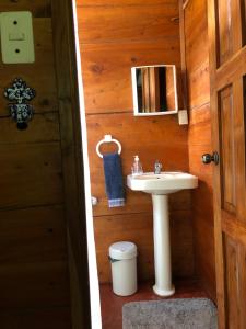 a bathroom with a sink and a toilet at PROVENZA en Los Naranjos in Juayúa