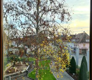 drzewo z żółtymi liśćmi w parku w obiekcie Auberge SYRA/ Proche Europa Park w mieście Marckolsheim