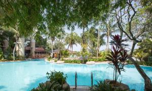 a large swimming pool with palm trees in a resort at Rainbow paradise @ Tanjung Bungah in Tanjung Bungah