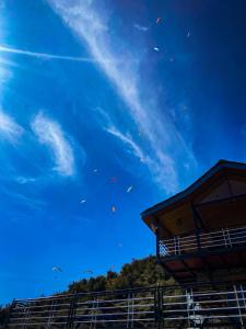 een groep vliegers die in de blauwe lucht vliegen bij Griffons Cafe and Stay in Dharamshala