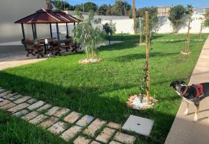 Zahrada ubytování B&B Mercadante