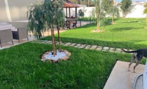 Zahrada ubytování B&B Mercadante