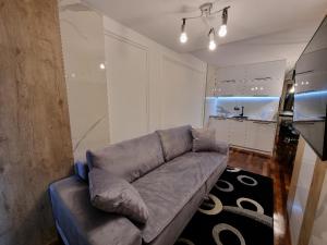 salon z kanapą i kuchnią w obiekcie Apartman Vučko 118 w mieście Jahorina