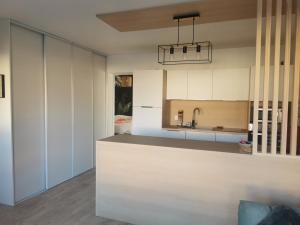 kuchnia z białymi szafkami i blatem w obiekcie Le Château des Abeilles - appartement récemment rénové - proche centre village et route des vins w mieście Scherwiller