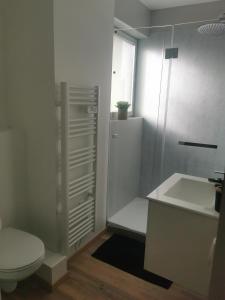 biała łazienka z toaletą i umywalką w obiekcie Le Château des Abeilles - appartement récemment rénové - proche centre village et route des vins w mieście Scherwiller
