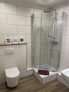 een badkamer met een douche, een toilet en een wastafel bij Ferienwohnung Lavendel in Butjadingen