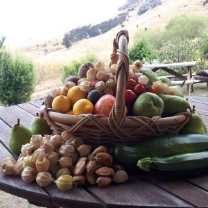 una cesta de frutas y verduras en una mesa de madera en Manaaki Mai, Rustic Retreat Bush Cabin en Christchurch