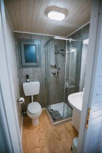 a bathroom with a shower and a toilet and a sink at Agriturismo Rose di Pietra in Pietra Ligure