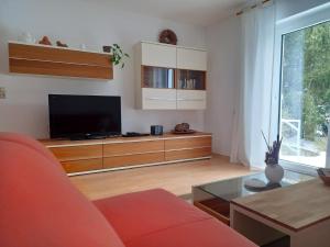 Mehlmeisel的住宿－Ferienwohnung Pasek，带沙发和电视的客厅