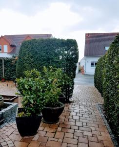 Κήπος έξω από το Appartement am Goldsteinpark