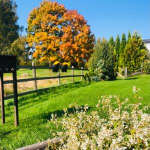 uma cerca num campo com uma árvore ao fundo em Holiday House Koceri em Ķekava