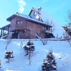 ein Haus im Schnee mit Bäumen davor in der Unterkunft Vlasinski vrtovi in Vlasina Rid