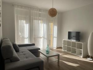 a living room with a couch and a tv at Apartamentos Turísticos LOS BARRUECOS in Cáceres
