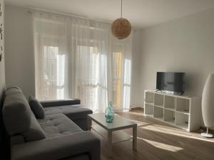 uma sala de estar com um sofá e uma televisão em Apartamentos Turísticos LOS BARRUECOS em Cáceres