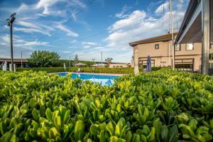 un seto de plantas verdes frente a una piscina en Nuevo Zenit Calahorra, en Calahorra