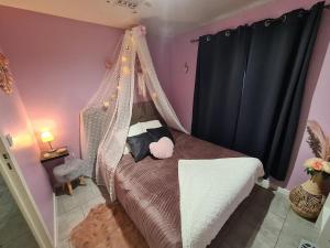 ein Kinderschlafzimmer mit einem Himmelbett mit rosa Wänden in der Unterkunft Le Cocon - Gite Spa et Sauna privatif en Centre Alsace in Saint-Maurice