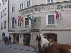 Jízda na koni v hotelu nebo okolí