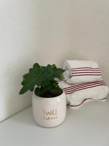 Fotografie z fotogalerie ubytování Hubel Apartment 14 v destinaci Wilderswil