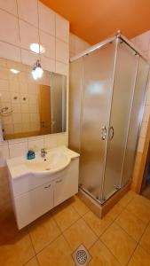 a bathroom with a shower and a sink at Valant Apartment in Bled