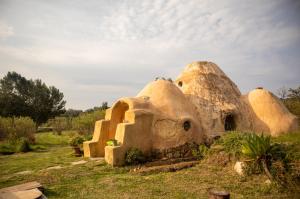 a house that is sitting in the grass at Forest Harmony in Knysna