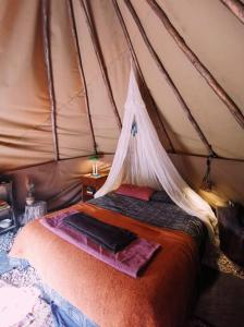 a bedroom with a bed in a tent at Forest Harmony in Knysna