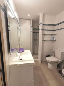 a bathroom with a sink and a toilet and a shower at Joli appartement face à la mer- St Florent in Saint-Florent