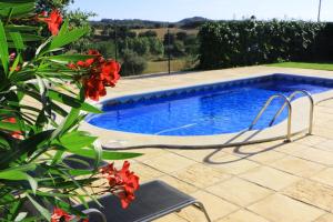 una piscina con una silla y flores rojas en Masia Cal Mas, en Sant Serni de Llanera